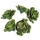 Cédrus rózsa zöld 17dkg/csom