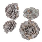 Cédrus rózsa zuzmarás szürke 5-7cm 17dkg/csom