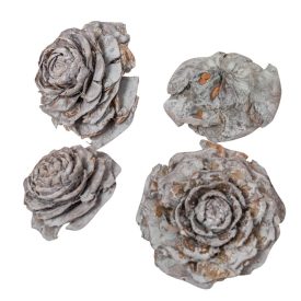 Cédrus rózsa zuzmarás szürke 5-7cm 17dkg/csom