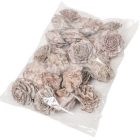 Cédrus rózsa falfestékes fehér 5-7cm 17dkg/csom