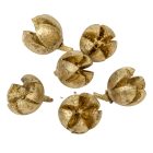 Chiruni szárított termés világosarany 17dkg/csom