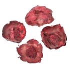 Kókusz virág festett burgundy 20dkg/csom