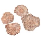 Kókusz virág falfestékes terracotta 20dkg/csom