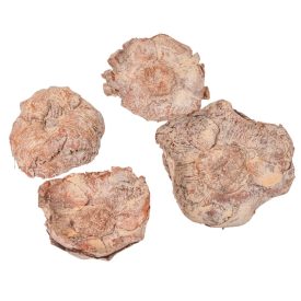 Kókusz virág falfestékes terracotta 20dkg/csom