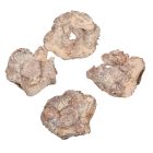 Kókusz virág falfestékes salmon 20dkg/csom