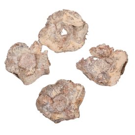 Kókusz virág falfestékes salmon 20dkg/csom