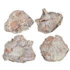 Kókusz virág falfestékes mud zöld 20dkg/csom