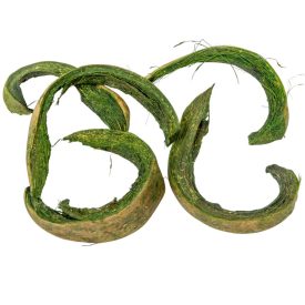 Kókusz C zöld 18dkg/csom