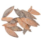 Lili szirom falfestékes salmon 20dkg/csom