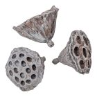 Lótusz kicsi 4-5cm falfestékes zöld 12db/csom