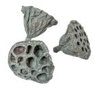 Lótusz kicsi 4-5cm falfestékes moss zöld 13db-os