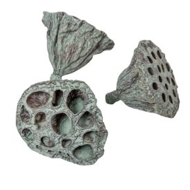 Lótusz kicsi 4-5cm falfestékes moss zöld 13db-os