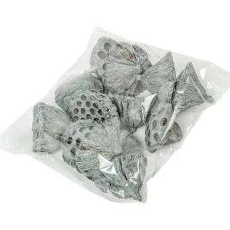 Lótusz 5-8cm falfestékes moss zöld 12db-os