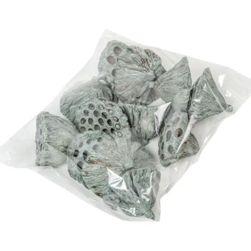Lótusz 5-8cm falfestékes moss zöld 12db-os