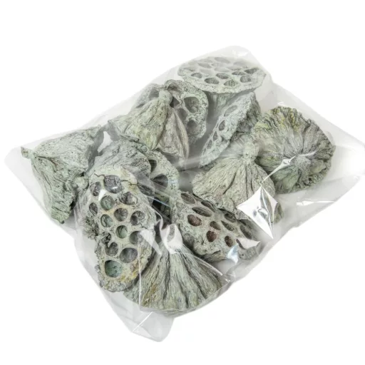 Lótusz 5-8cm falfestékes mud zöld 12db-os