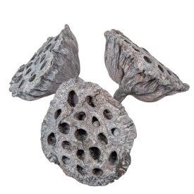 Lótusz 8-10cm falfestékes zöld 10db-os