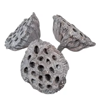 Lótusz 8-10cm falfestékes zöld 10db-os