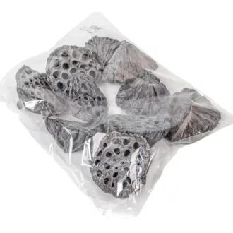 Lótusz 8-10cm falfestékes zöld 10db-os