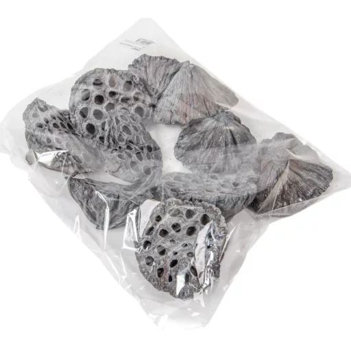 Lótusz 8-10cm falfestékes zöld 10db-os