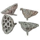 Lótusz 8-10cm falfestékes moss zöld 10db/csom