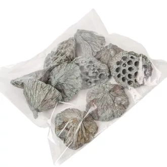 Lótusz 8-10cm falfestékes moss zöld 10db/csom