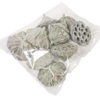 Lótusz 8-10cm falfestékes mud zöld 10db/csom