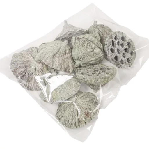 Lótusz 8-10cm falfestékes mud zöld 10db/csom