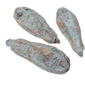 Mehogany pod szárított falfestékes szürke 14db-os