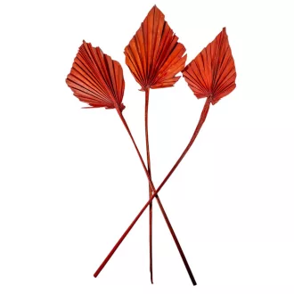 Pálma levél közepes terracotta 6db-os