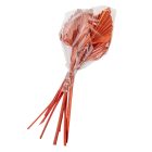 Pálma levél közepes terracotta 8db-os