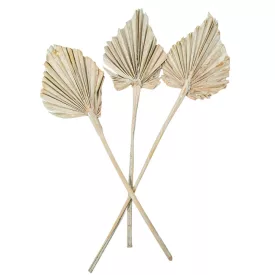 Pálma levél közepes falfestékes mud zöld 8db-os