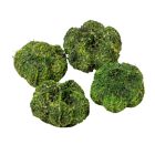 Fokhagyma termés zöld 16 dkg/csom