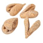 Mike szárított falfestékes salmon 22 dkg/csom