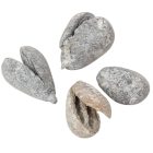 Mike szárított falfestékes mud zöld 22 dkg/csom