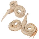 Kos szarv szárított falfestékes salmon 6db-os