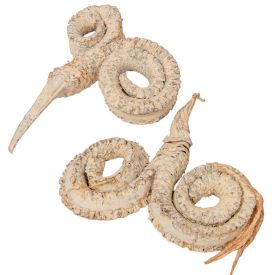 Kos szarv szárított falfestékes salmon 6db-os