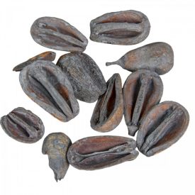 Mike szárított havas szürke 28dkg/csom