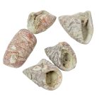 Lali szárított falfestékes mud zöld 24 dkg/csom