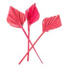 Pálma levél mini szárított piros 10db-os