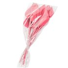 Pálma levél mini szárított piros 10db-os