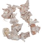 Cédrus rózsa szirom havas fehér 30dkg/csom