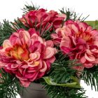 Sírdísz szürke műanyag  tálban dália díszítéssel M14x30cm 
