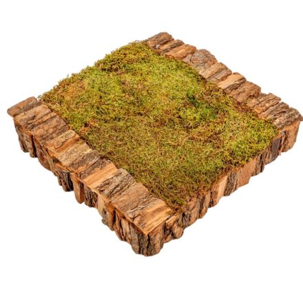 Mohás kéreg alap barna M5x26x26cm