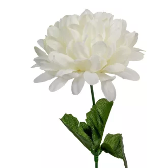 Krizantém szálas krém,fehér M50cm 