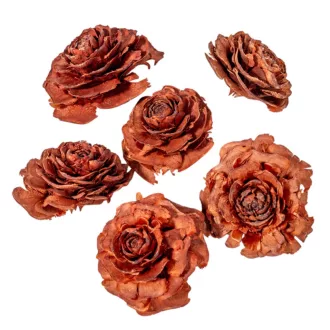 Cédrus rózsa terrakotta 5-7 cm 15dkg/csom 
