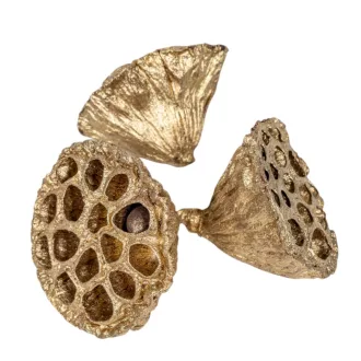 Lótusz 5-8cm metál világos arany 8db-os