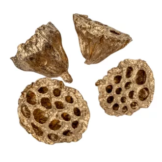 Lótusz 4-5cm világos arany 10 db-os 