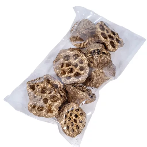 Lótusz 4-5cm világos arany 10 db-os 
