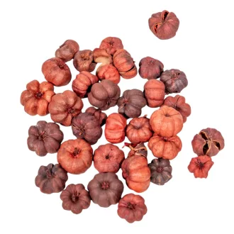 Mini tök terracotta 15dkg/csom 