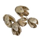 Bakuli szárított metál pezsgő 18dkg/csom